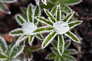 医疗保险报销流程是怎么样的？需要哪些材料？​-保点通