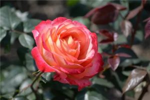 平安保险百万医疗险产品有哪些？哪款比较好？​-保点通