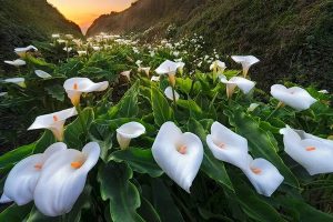 怎么用手机交医疗保险缴费？理赔后还能再买吗？​-保点通