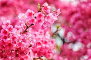 医疗保险哪种最好？首选买什么产品？-保点通