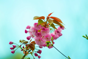 大病保险每年都要交吗？保障内容有哪些？怎么买？-保点通