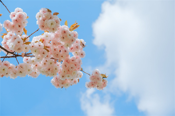 居民医疗保险交多少年就不用再交了?插图1 居民医疗保险交多少年就不用再交了?插图1