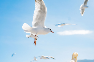 10款收益顶尖的增额终身寿,看完绝对不买错-保点通