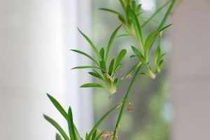 康悦百万医疗a保险有必要购买吗？有什么优缺点？-保点通