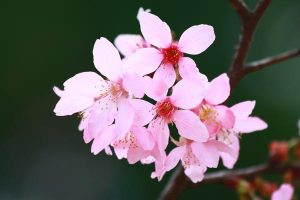 泰康百万医疗产品有哪些？哪个更好？-保点通