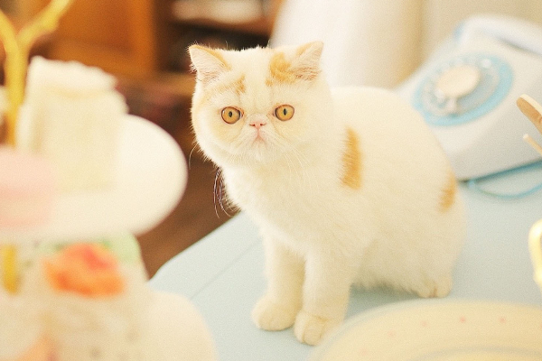 百万医疗保险是什么？怎么买比较好？-保点通