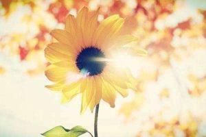 百万医疗保险一年交多少钱？买哪种产品好？-保点通