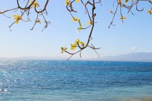 医疗保险是一年保险吗？选择什么产品好？-保点通