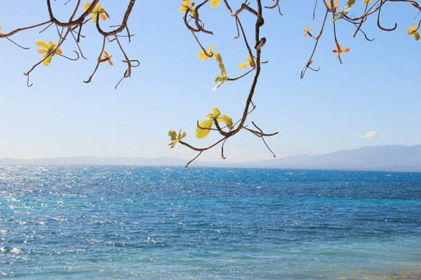 医疗保险是一年保险吗？选择什么产品好？-保点通