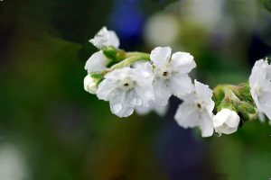 平安福交满20年能取回本钱吗？能够提供哪些保障？-保点通