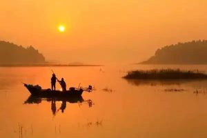 什么类型的商业医疗保险最好?买什么产品最好?-保点通