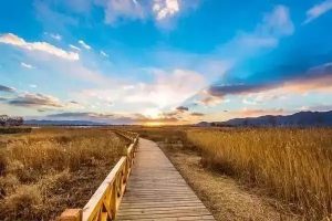 太平洋e享护医享无忧百万医疗保险怎么样？值不值得买？-保点通