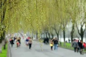 微医保百万医疗保险怎么样？可以提供什么保障？-保点通