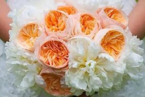 中国人民保险百万医疗险是真的吗？需要多少钱一年？-保点通