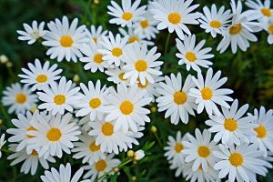 元保百万医疗保险怎么样？贵吗？-保点通