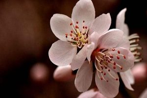 门诊大病包括哪几种病？报销比例有多少？-保点通