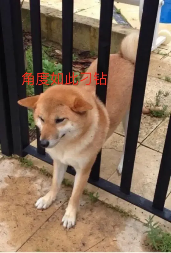 金麒麟来了,华夏金管家万能账户对不起我要变心了华夏金管家万能帐户-7 金麒麟来了,华夏金管家万能账户对不起我要变心了华夏金管家万能帐户-7