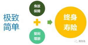 增额终寿顶流产品的收官之作,第一梯队的好产品即将团灭-长城山海关(虎啸版)保险-保点通
