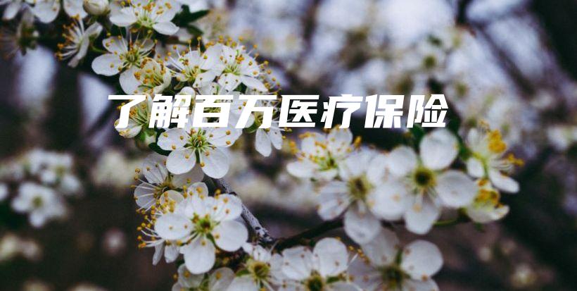 了解百万医疗保险-保点通