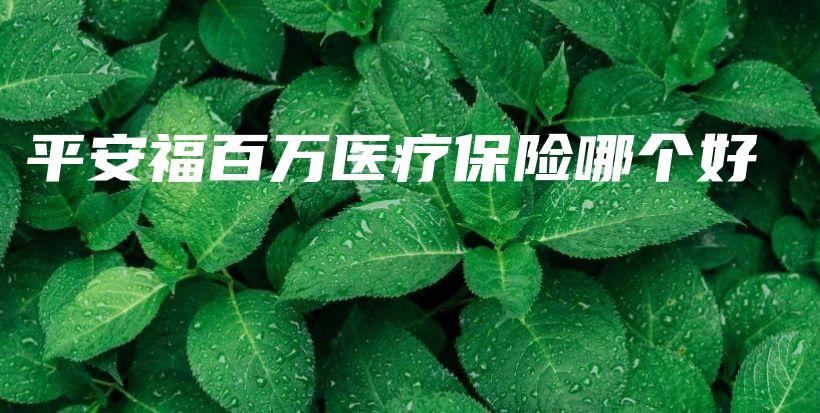 平安福百万医疗保险哪个好-保点通