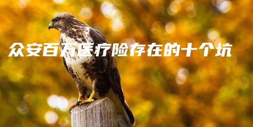 众安百万医疗险存在的十个坑-保点通