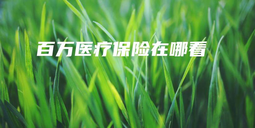 百万医疗保险在哪看-保点通
