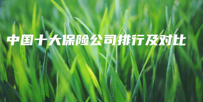 中国十大保险公司排行及对比-保点通