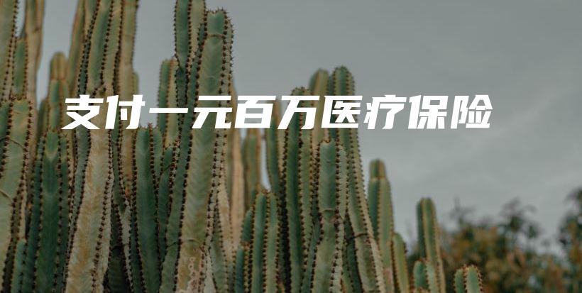 支付一元百万医疗保险-保点通