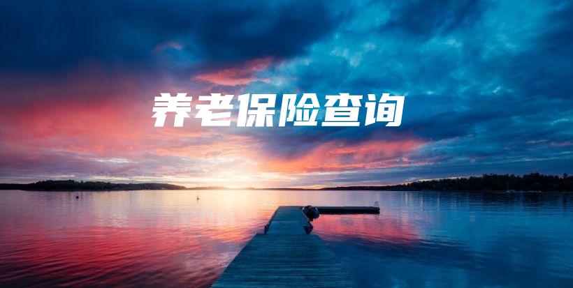 养老保险查询-保点通