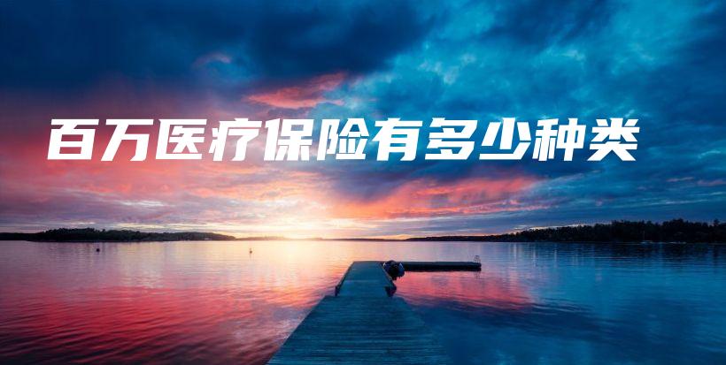 百万医疗保险有多少种类-保点通