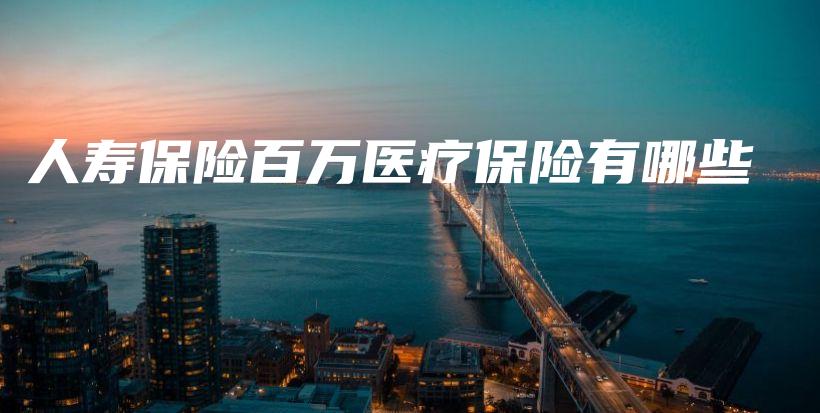 人寿保险百万医疗保险有哪些-保点通