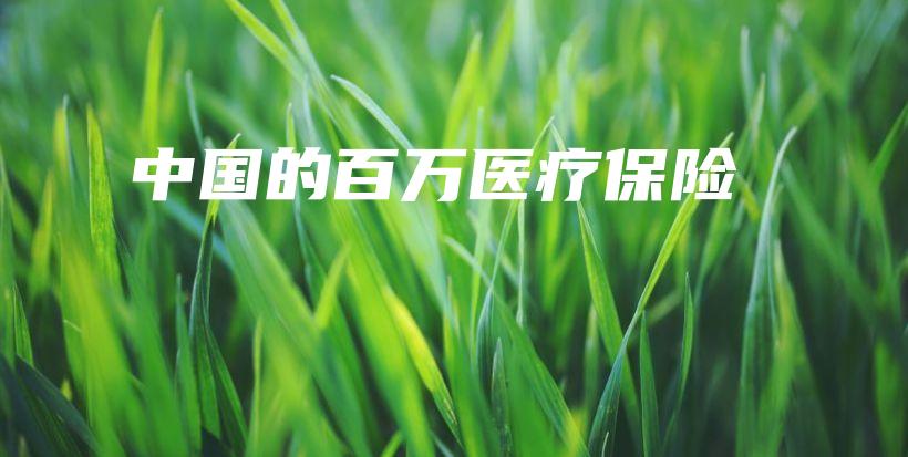 中国的百万医疗保险-保点通