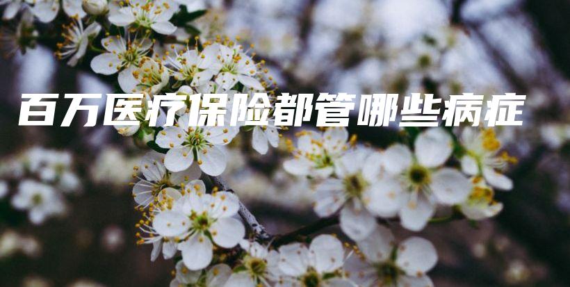 百万医疗保险都管哪些病症-保点通