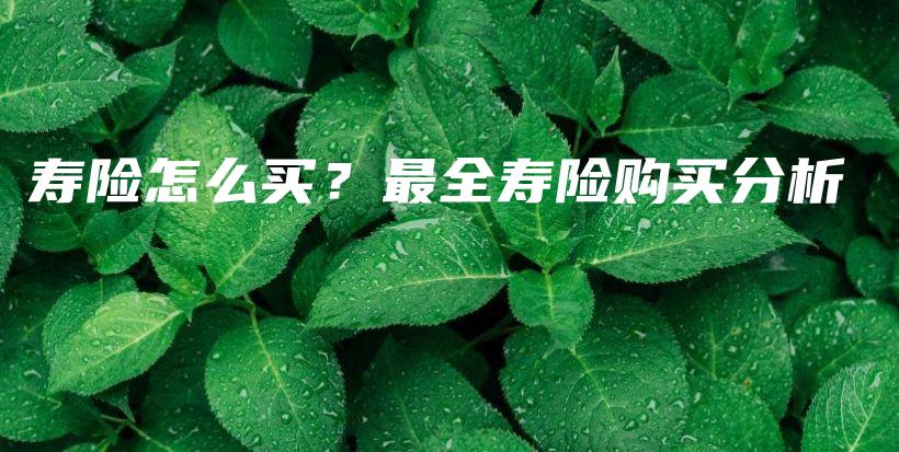 寿险怎么买？最全寿险购买分析-保点通