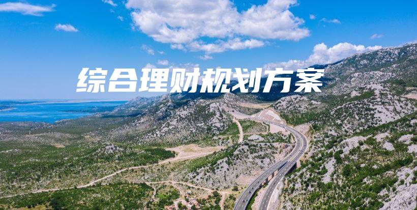 综合理财规划方案-保点通