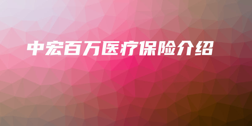 中宏百万医疗保险介绍插图 中宏百万医疗保险介绍插图