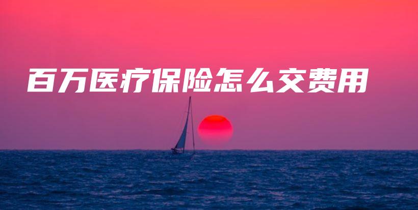 百万医疗保险怎么交费用-保点通