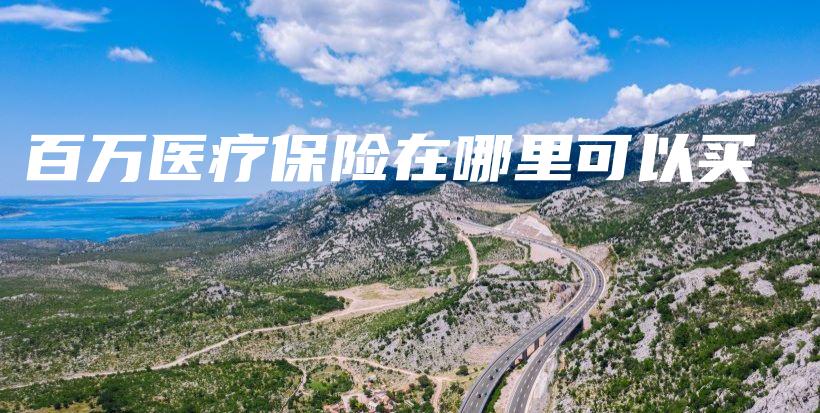 百万医疗保险在哪里可以买-保点通
