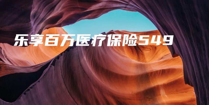 乐享百万医疗保险549-保点通