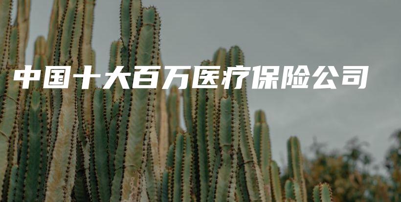 中国十大百万医疗保险公司-保点通