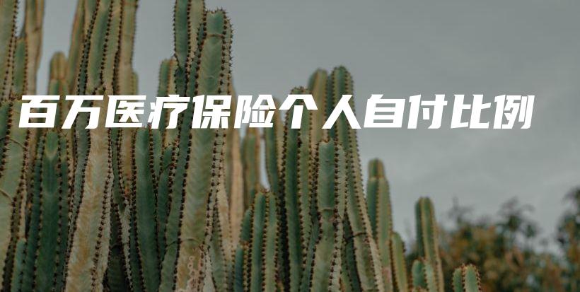 百万医疗保险个人自付比例-保点通