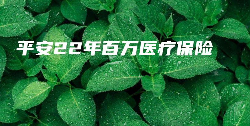 平安22年百万医疗保险-保点通
