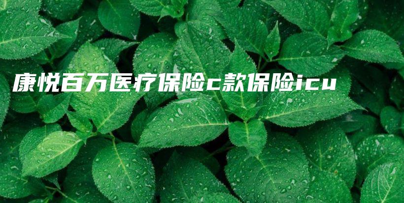 康悦百万医疗保险c款保险icu-保点通