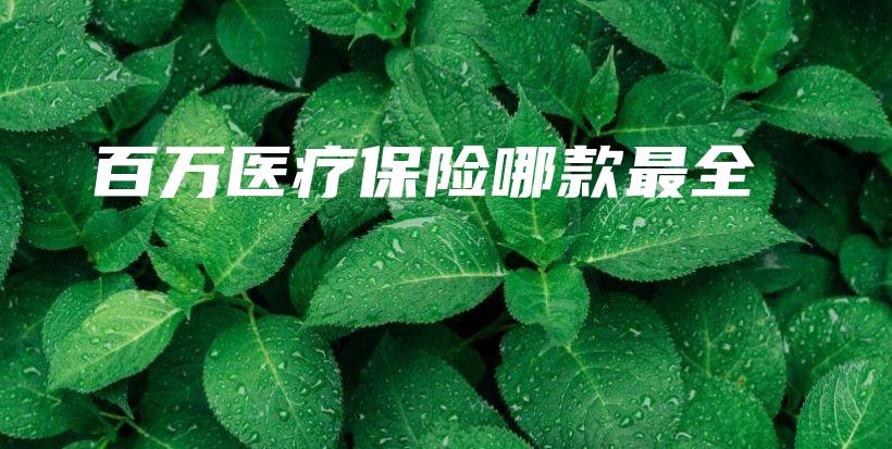 百万医疗保险哪款最全-保点通
