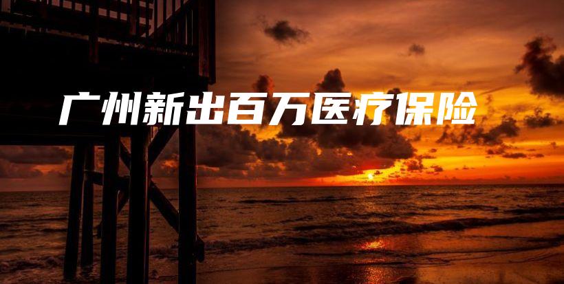 广州新出百万医疗保险-保点通