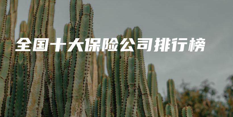 全国十大保险公司排行榜-保点通