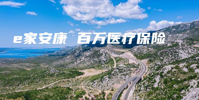 e家安康 百万医疗保险-保点通