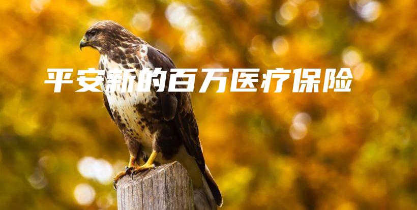 平安新的百万医疗保险-保点通