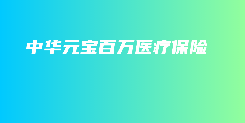 中华元宝百万医疗保险-保点通