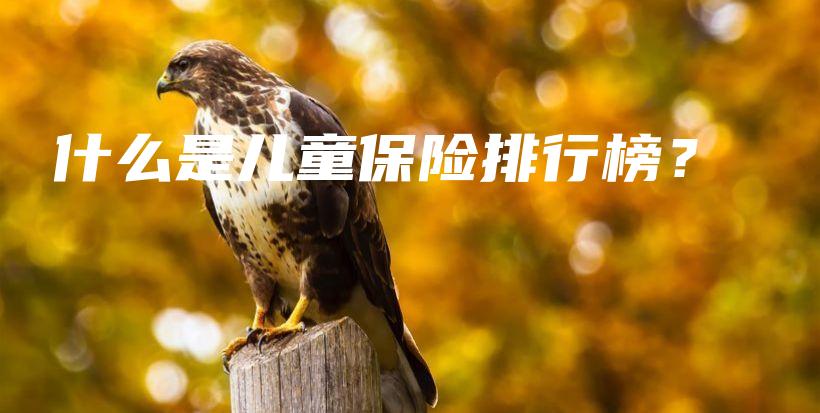 什么是儿童保险排行榜？-保点通